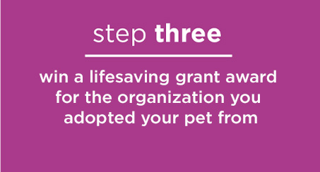 Image #ShelterValentine
