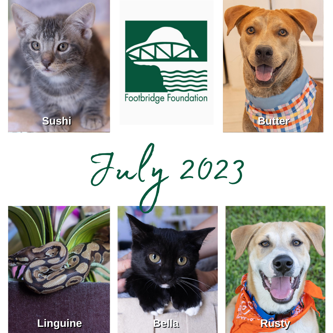 NewsLetter July 2023 — Footbridge Foundation - San Antonio Animal ...